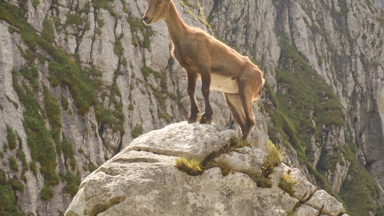 Photo of Others in Feternes