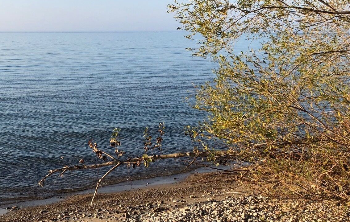 Photo of Others in Huron-Kinloss