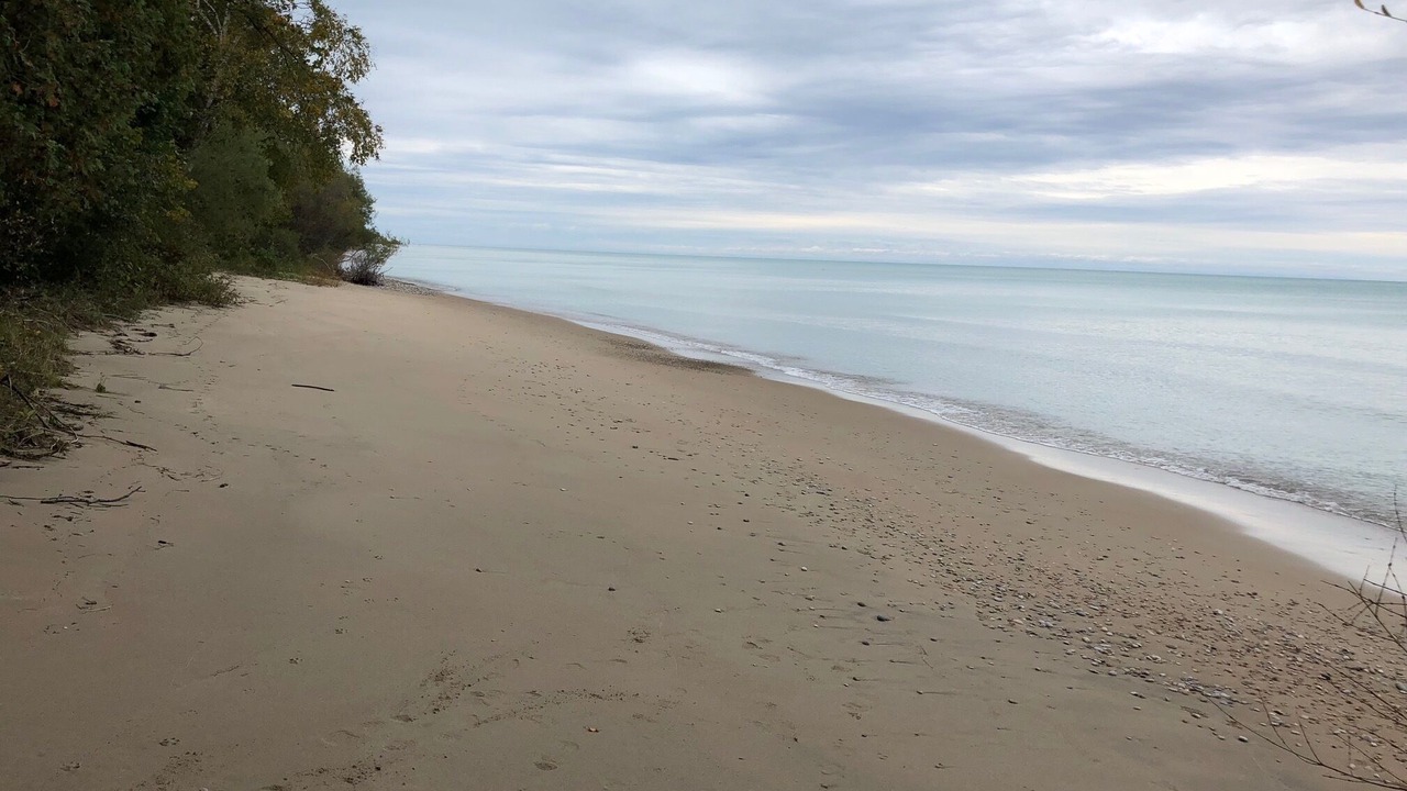 Photo of Others in Huron-Kinloss