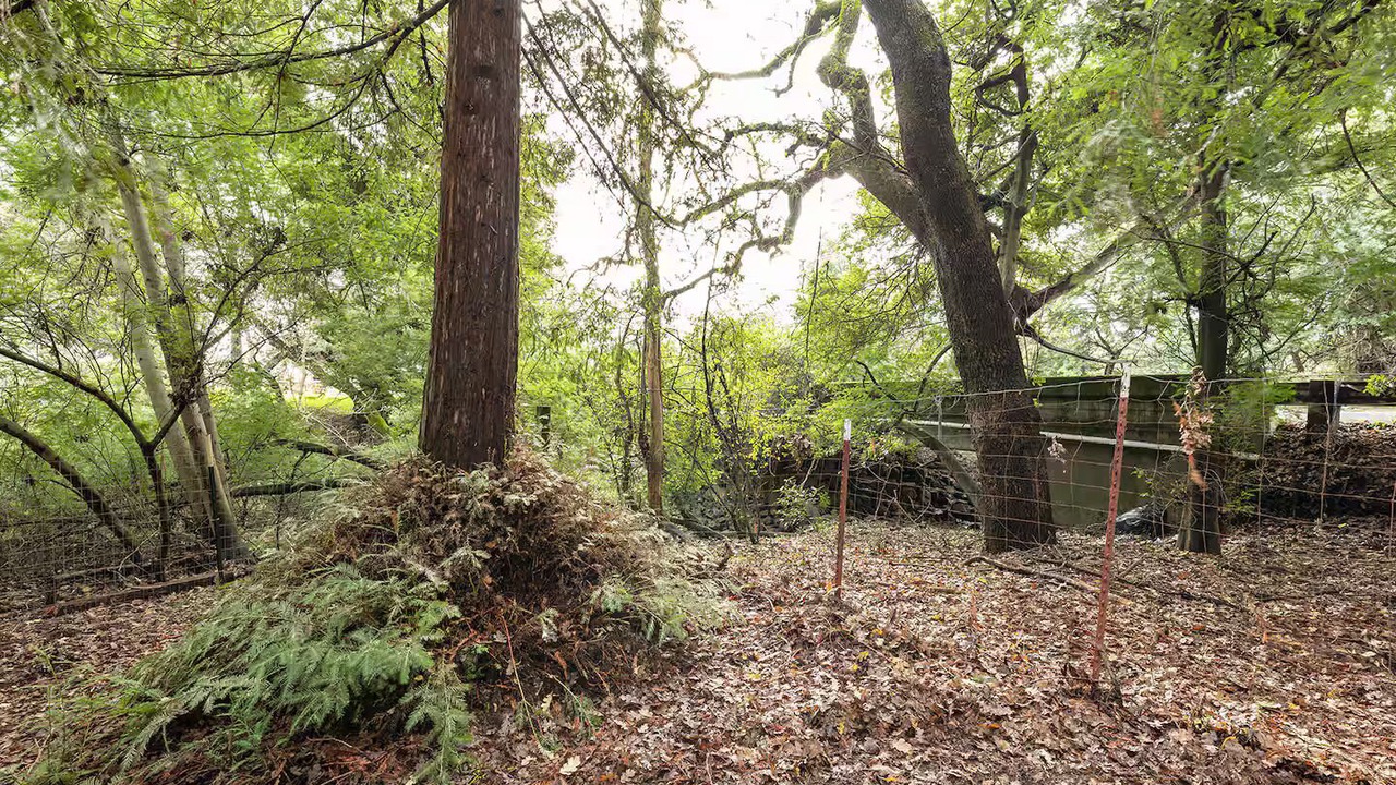 Photo of Outdoor in Napa