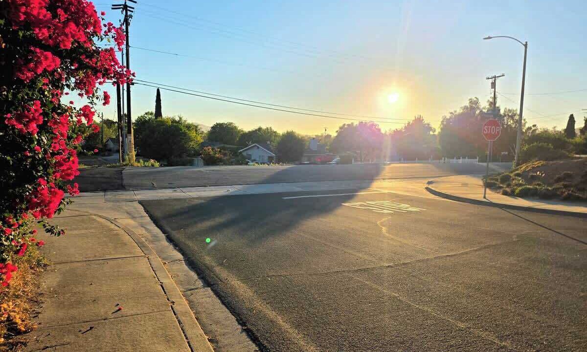 Photo of Others in East Grove