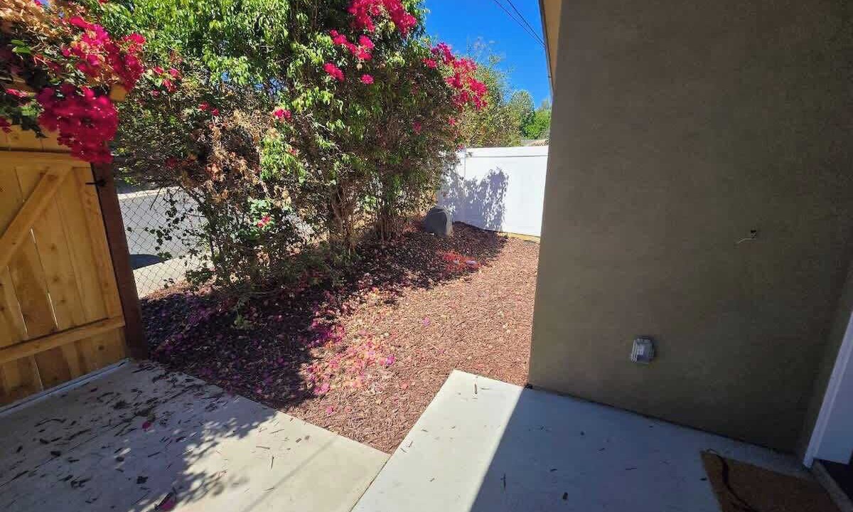 Photo of Outdoor in East Grove