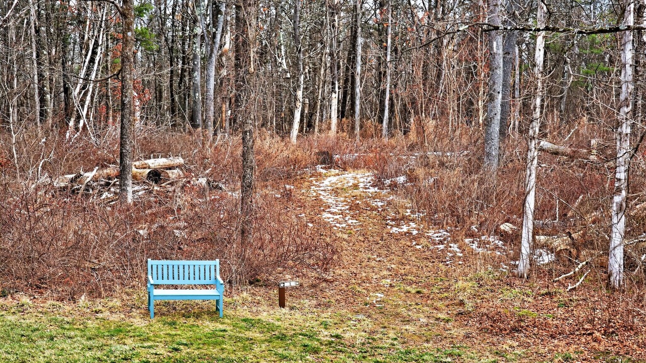 Photo of Outdoor in Athens