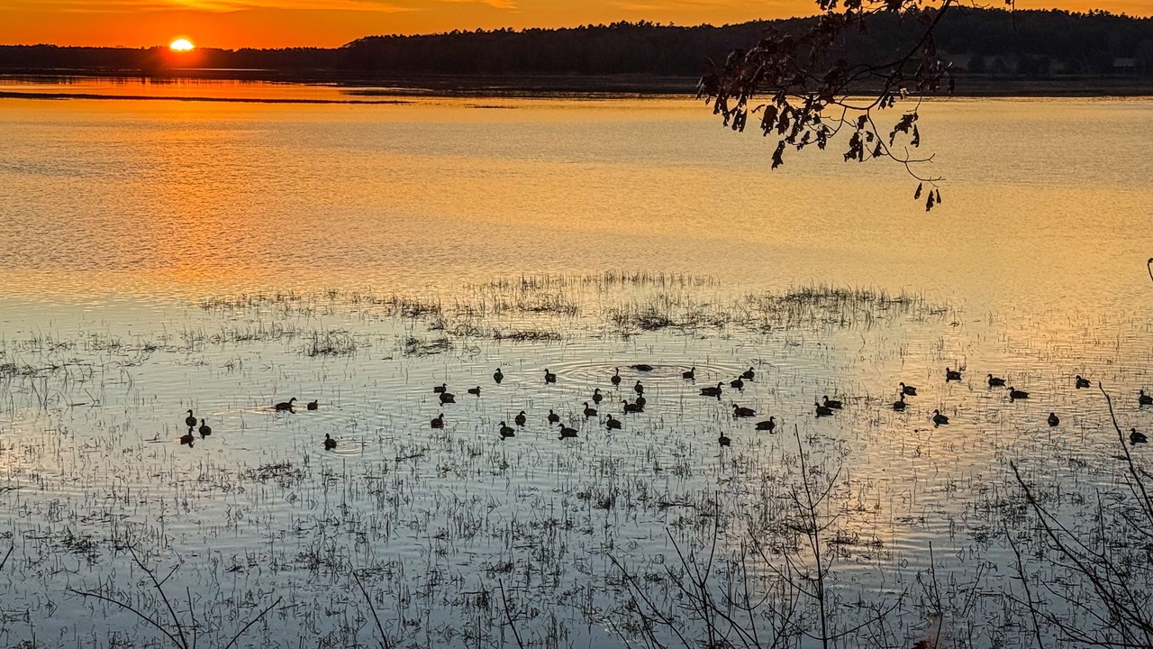 Photo of Others in Dresden