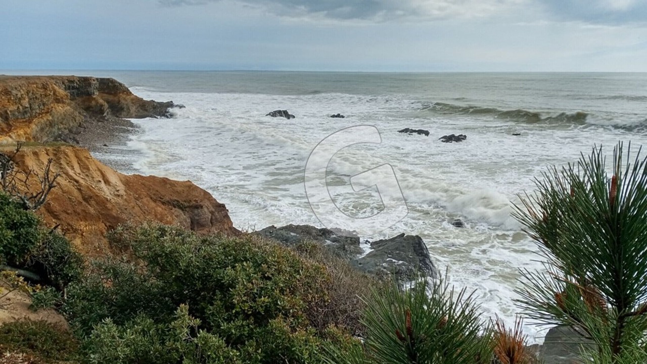 Photo of Others in Jard-sur-Mer