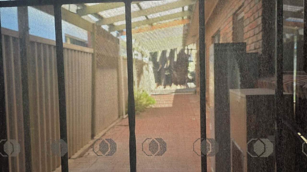 Photo of Others in Semaphore