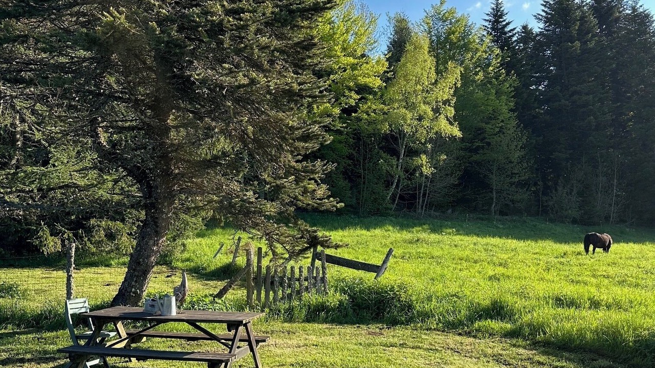 Photo of Outdoor in Saint-Genes-Champanelle