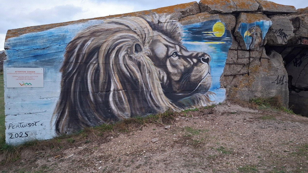 Photo of Others in Tocqueville