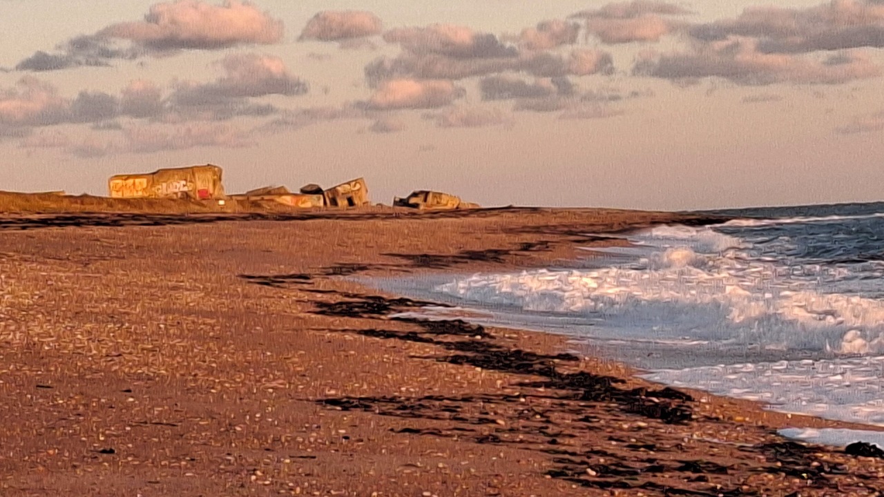 Photo of Others in Tocqueville