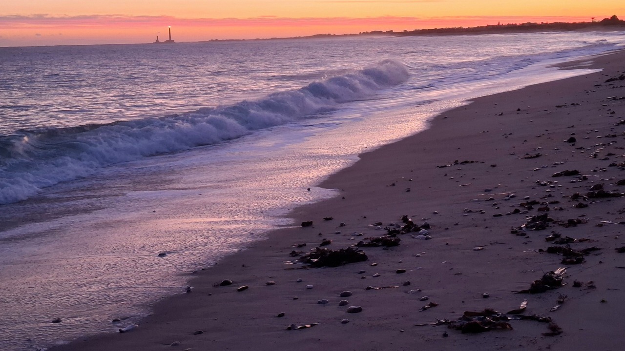 Photo of Others in Tocqueville