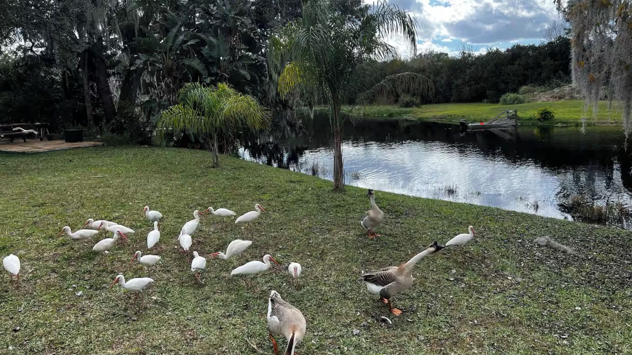 Photo of Others in Lake Helen