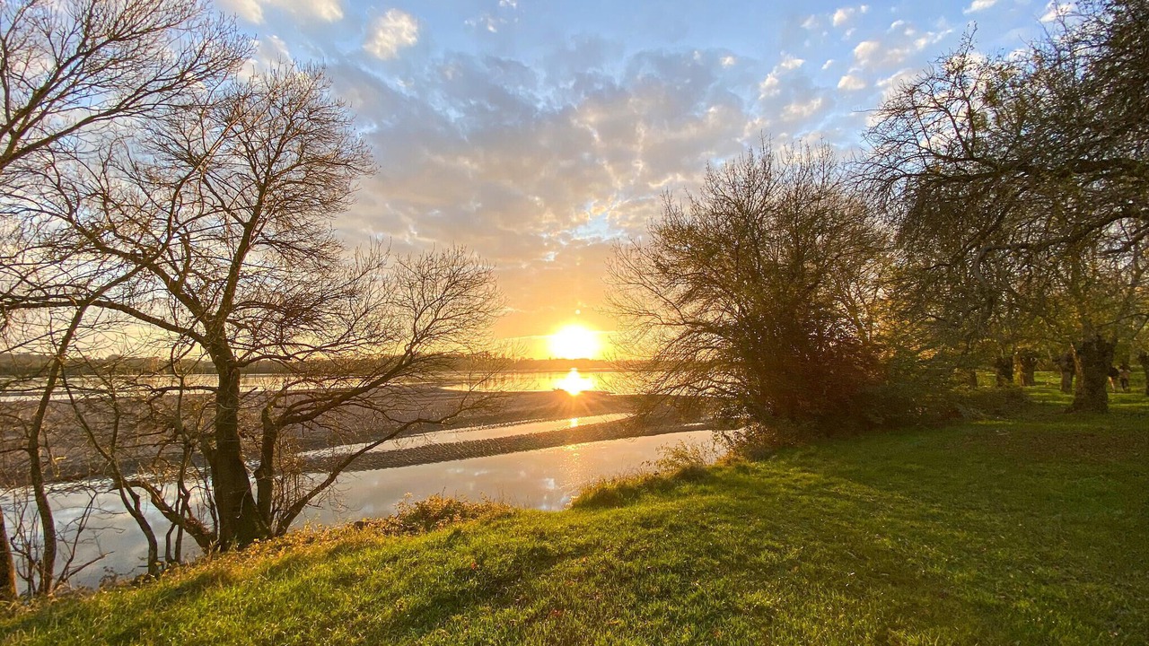 Photo of Others in Champigne
