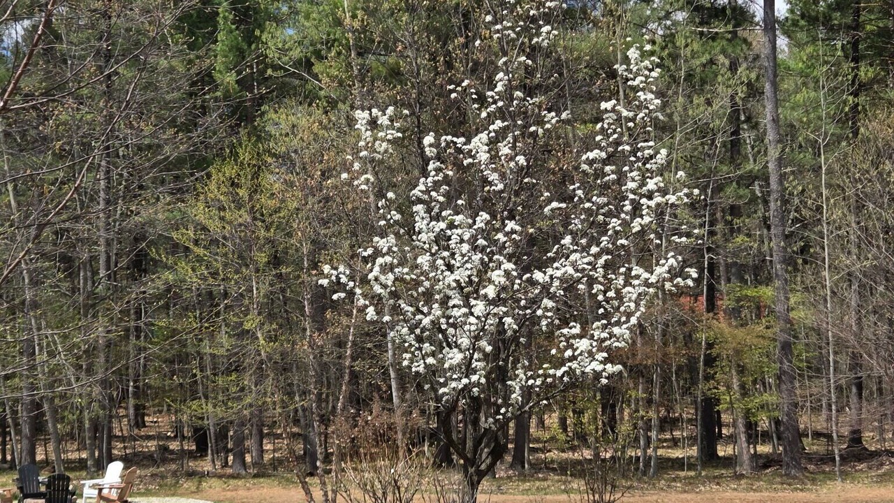 Photo of Outdoor in Jay