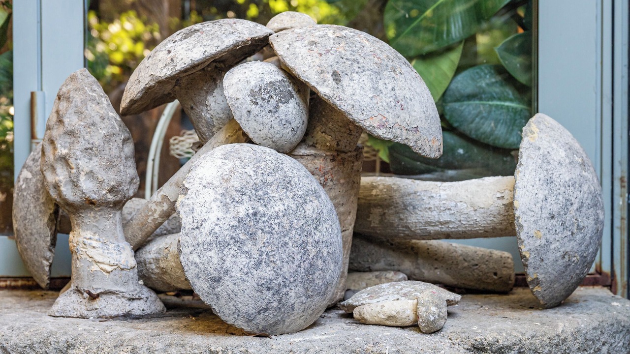 Photo of Outdoor in Goult