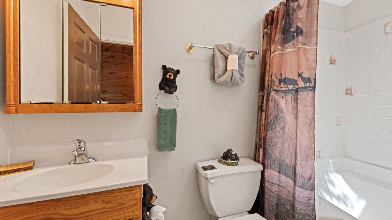 Photo of Bathroom in Maggie Valley