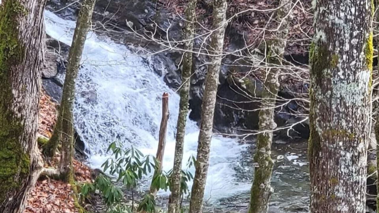 Photo of Others in Maggie Valley