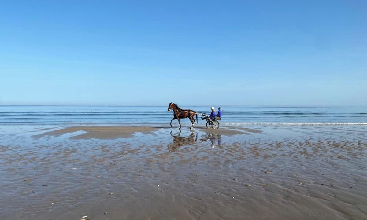 Photo of Others in Cabourg