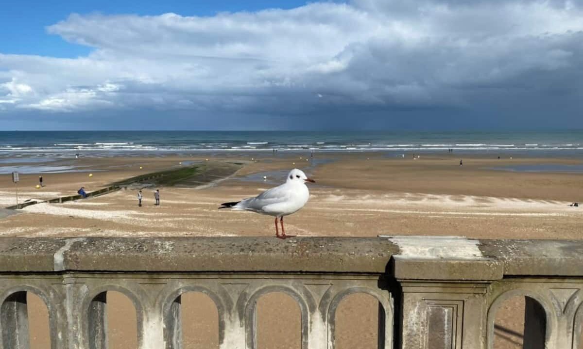 Photo of Others in Cabourg