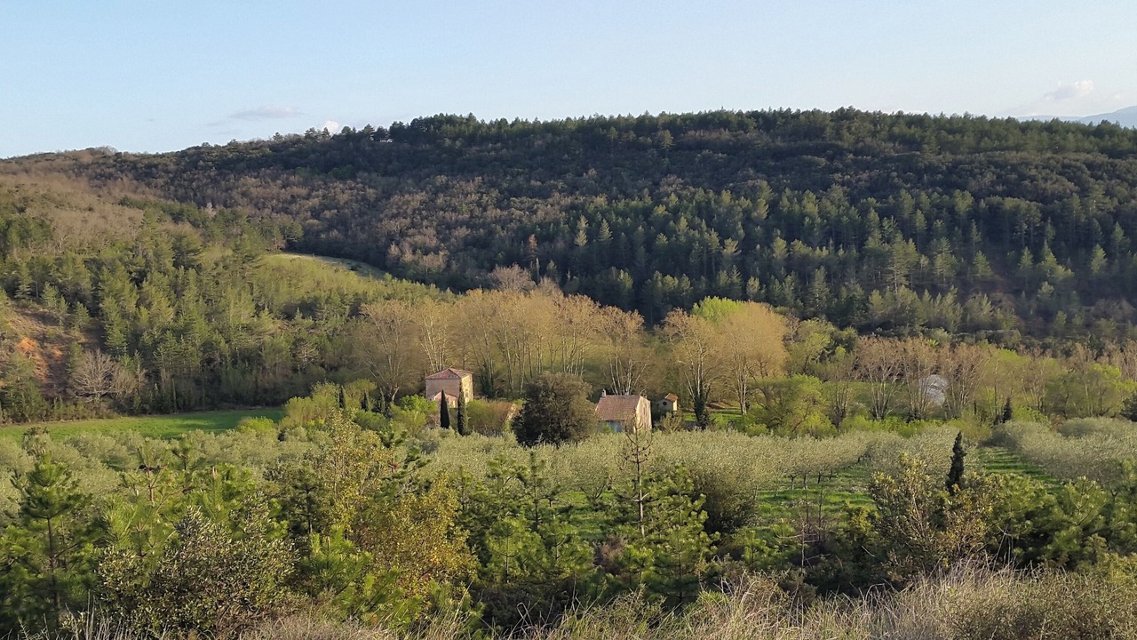 Photo of Others in Luc-sur-Aude