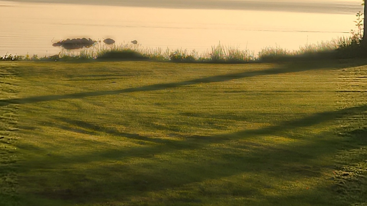 Photo of Others in Wolfe Island