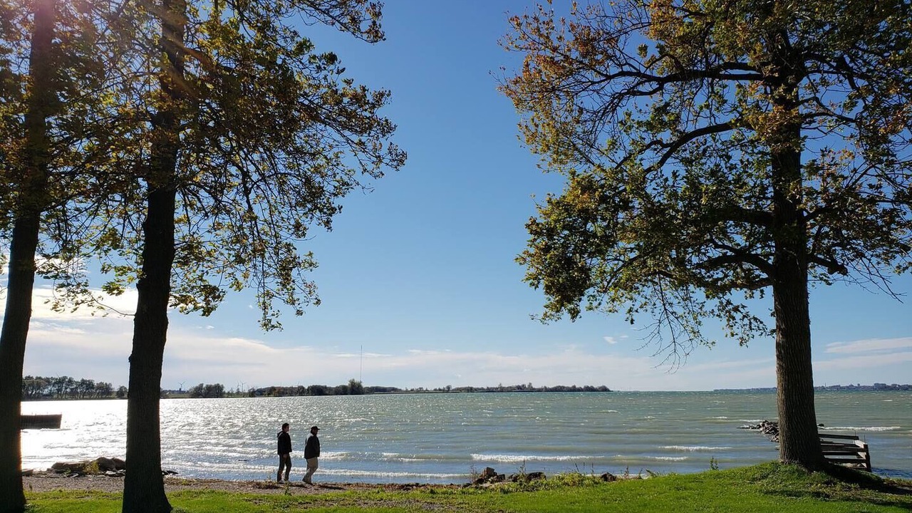 Photo of Others in Wolfe Island