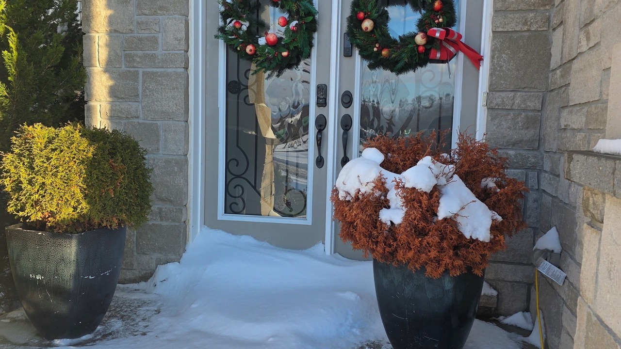 Photo of Outdoor in Hamilton