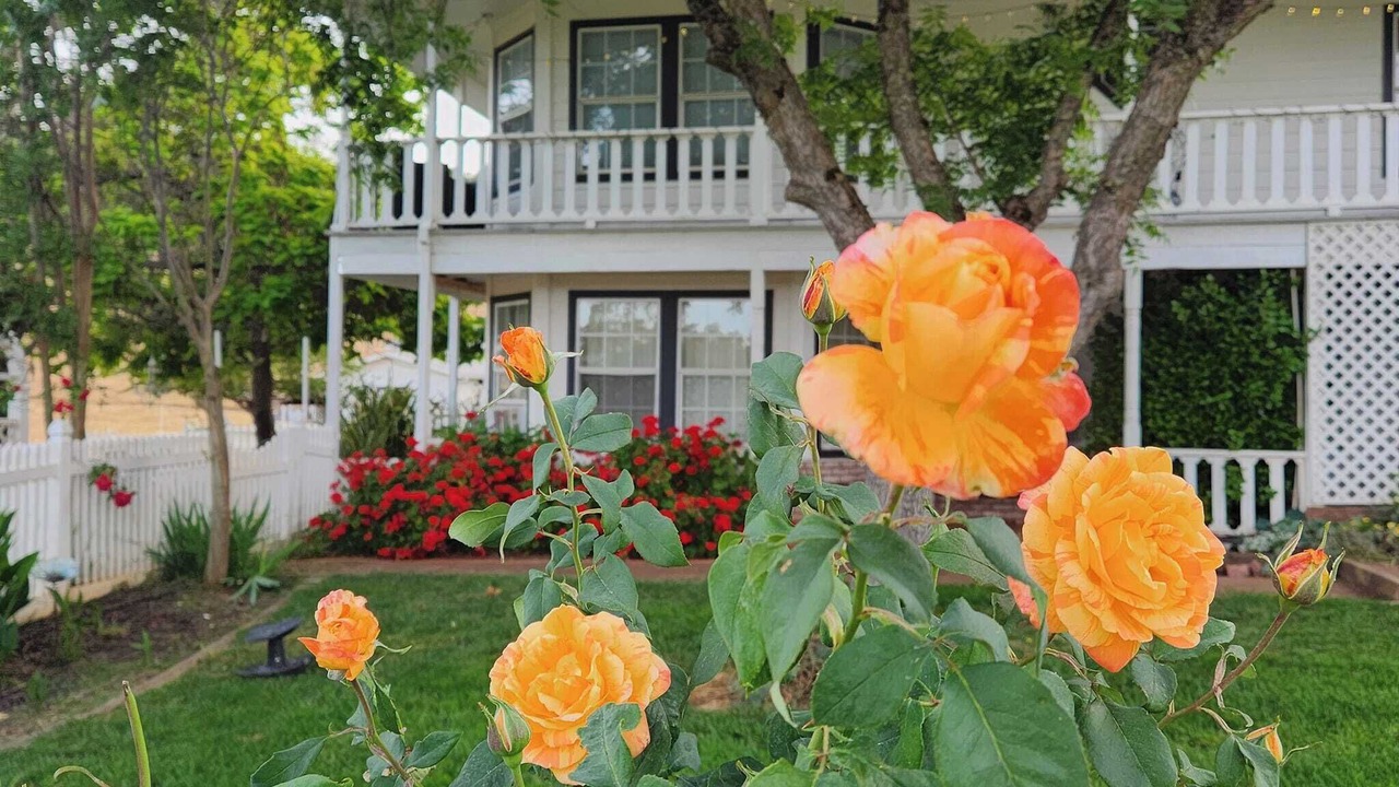Photo of Outdoor in Pilot Hill