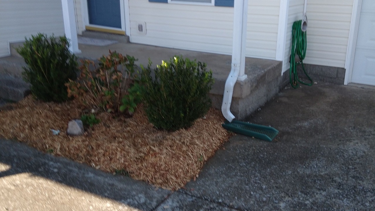 Photo of Outdoor in Oak Grove