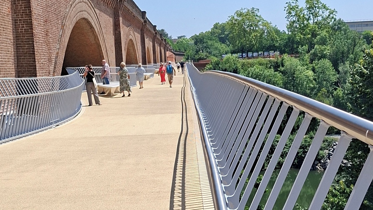 Photo of Others in Albi