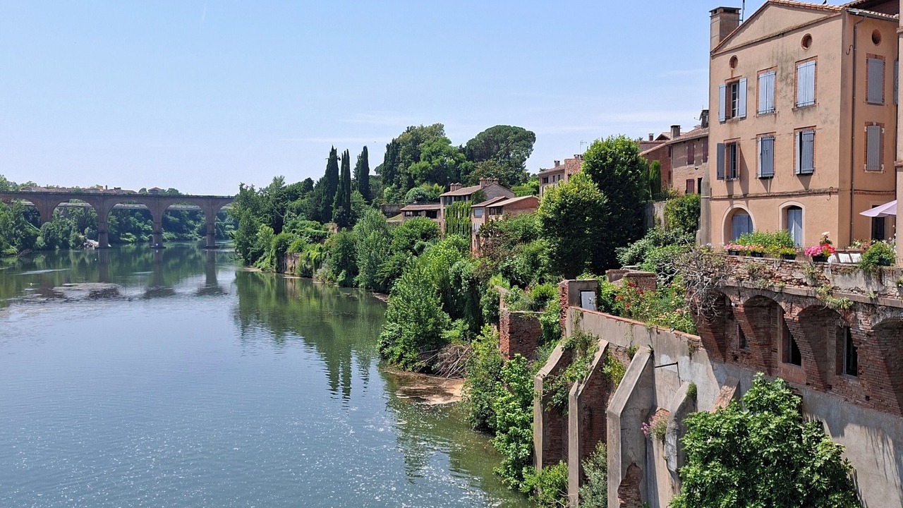 Photo of Others in Albi