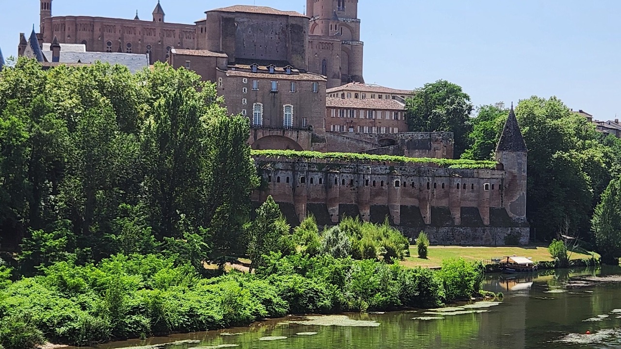 Photo of Others in Albi