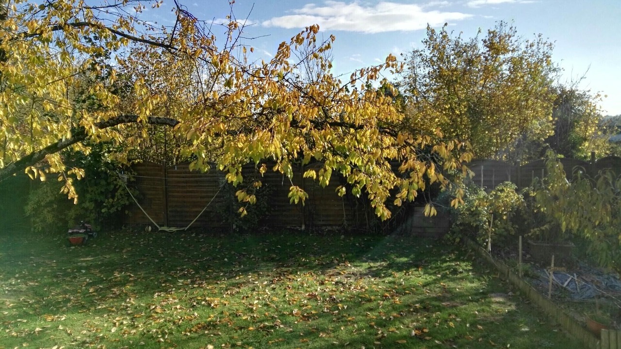 Photo of Outdoor in Les Ageux