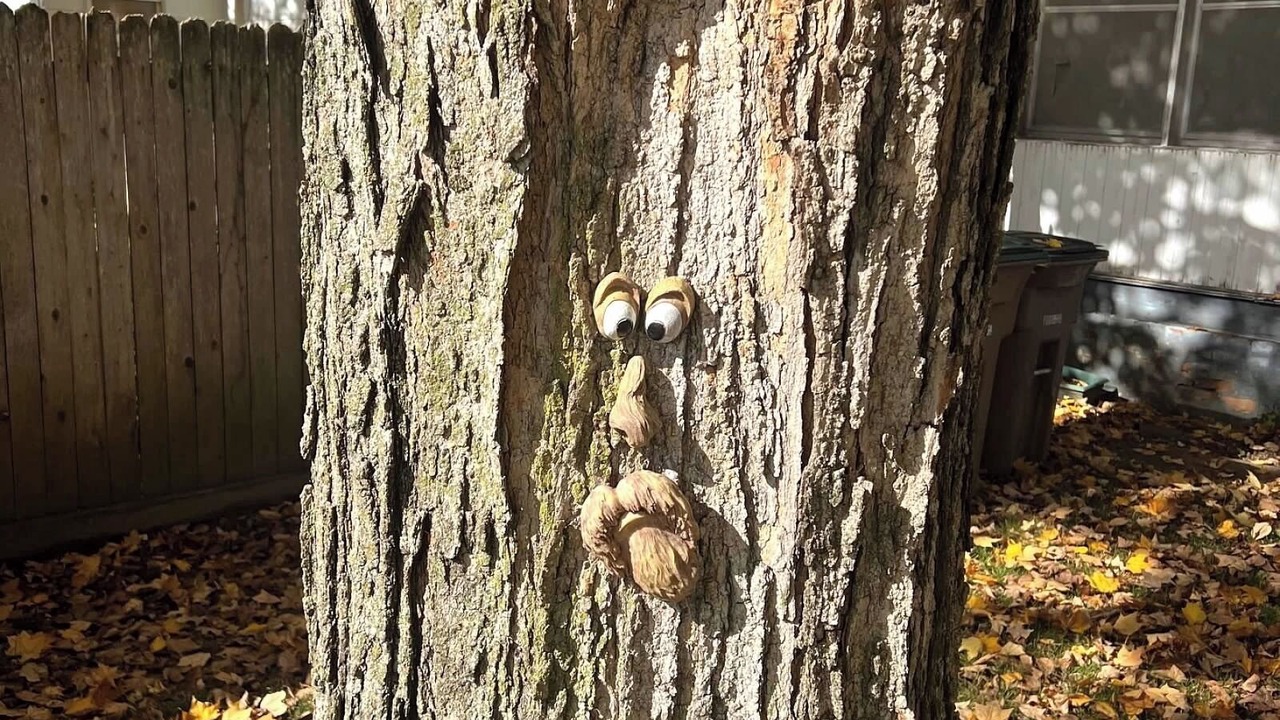 Photo of Outdoor in Columbus