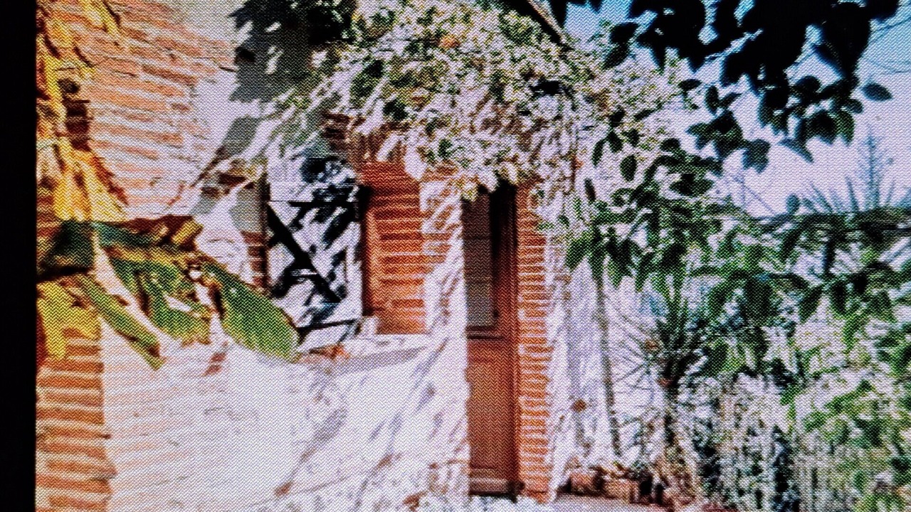 Photo of Outdoor in Mauressac