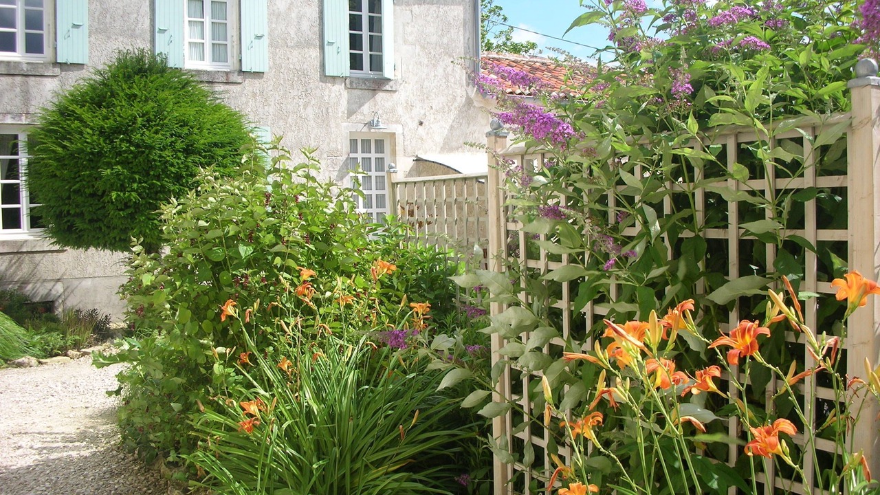 Photo of Outdoor in Saint-Palais-du-Ne