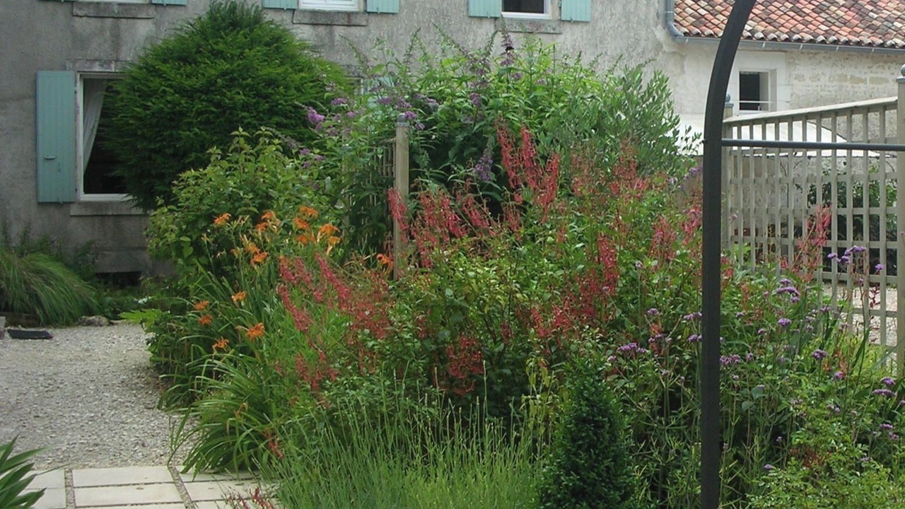 Photo of Outdoor in Saint-Palais-du-Ne