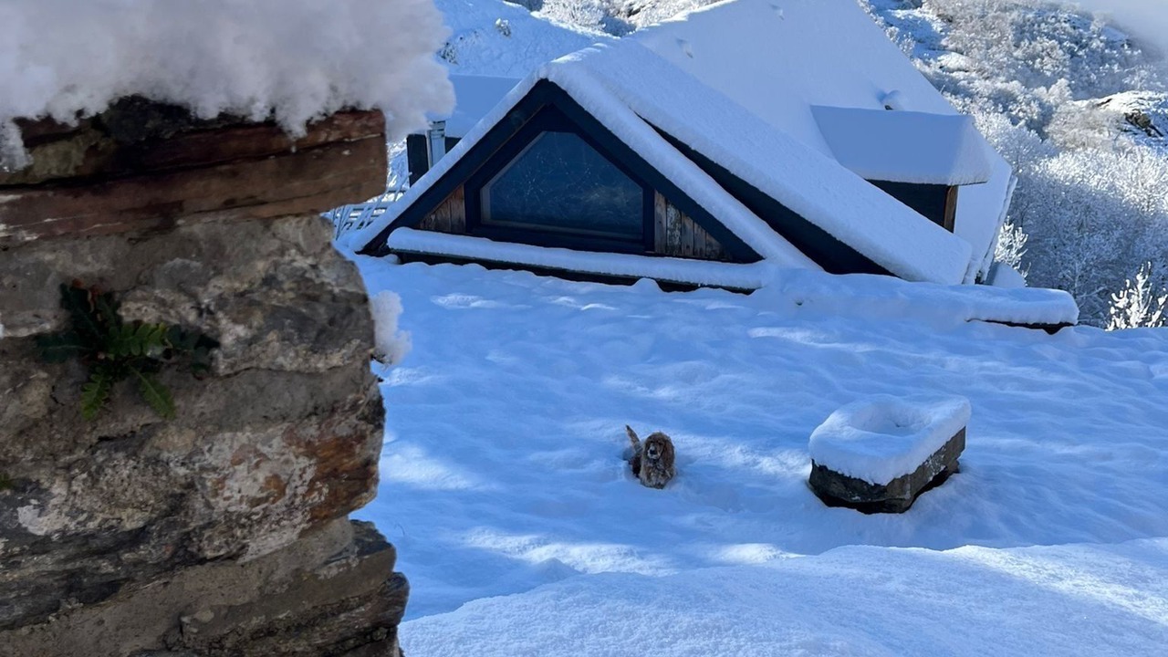 Photo of Outdoor in Baren