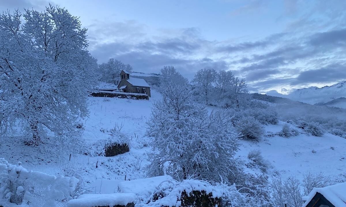 Photo of Outdoor in Baren