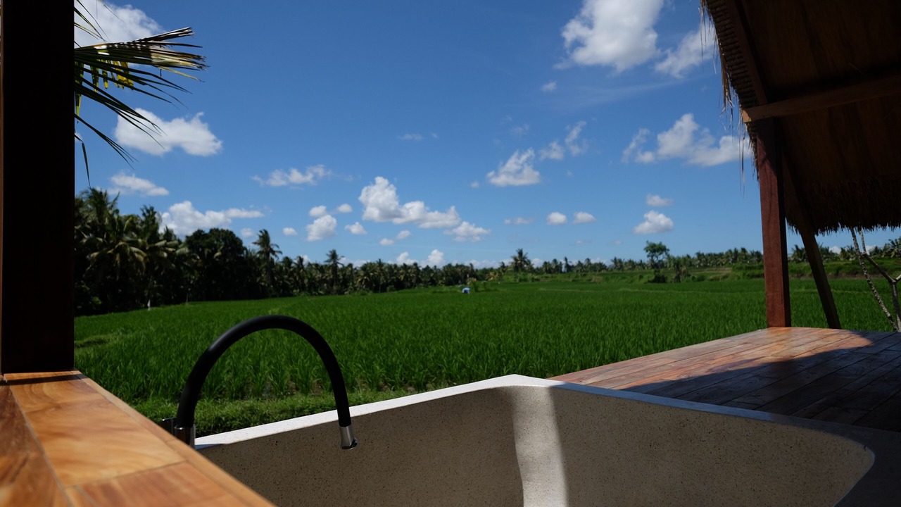 Photo of Outdoor in Peliatan