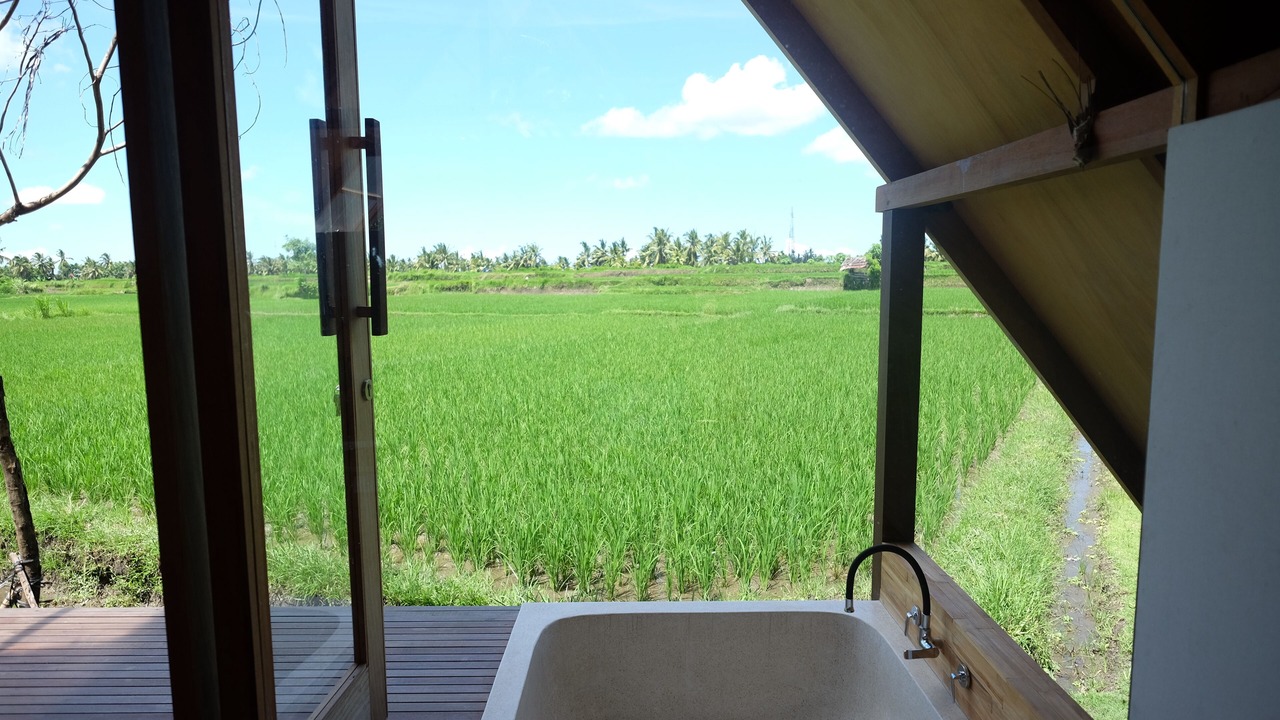 Photo of Outdoor in Peliatan