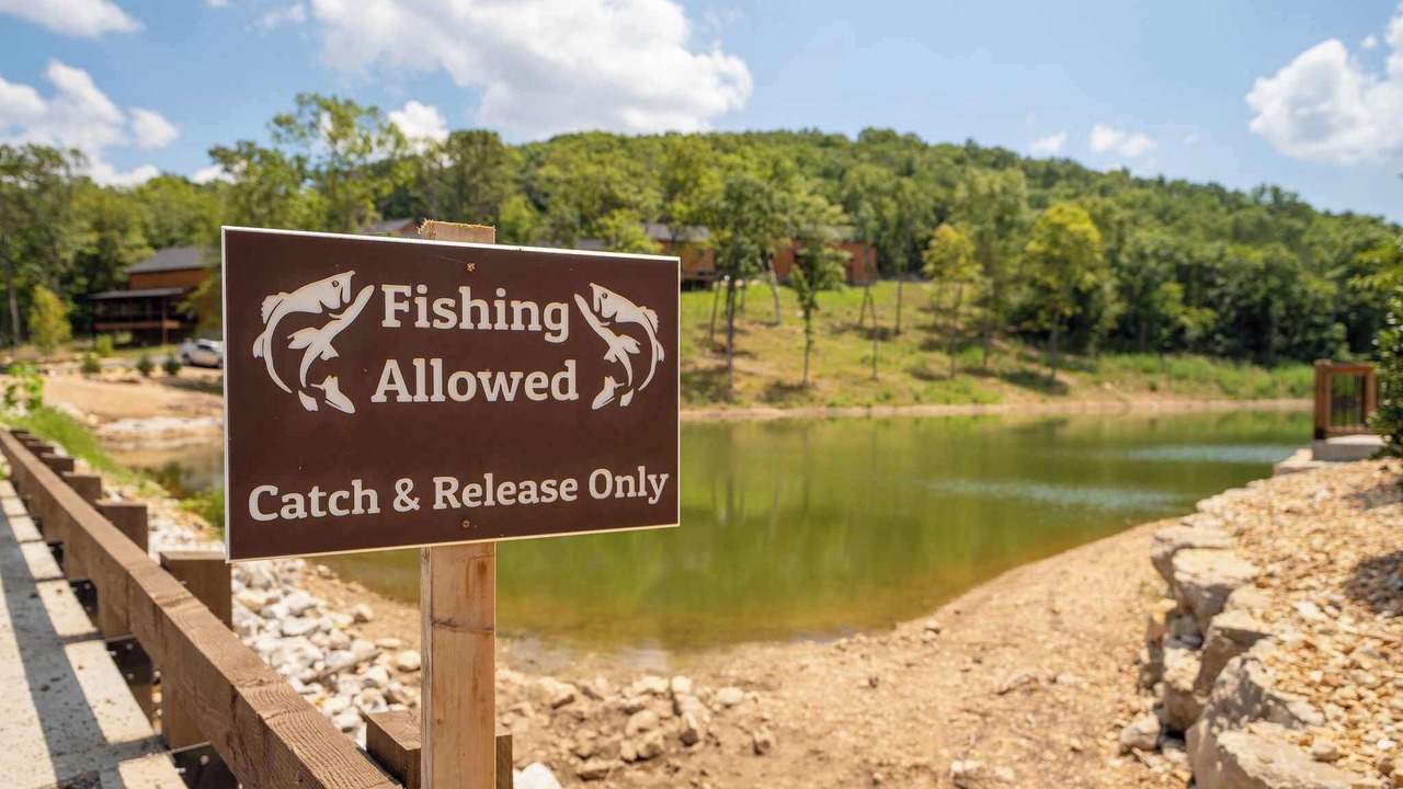 Photo of Outdoor in Branson
