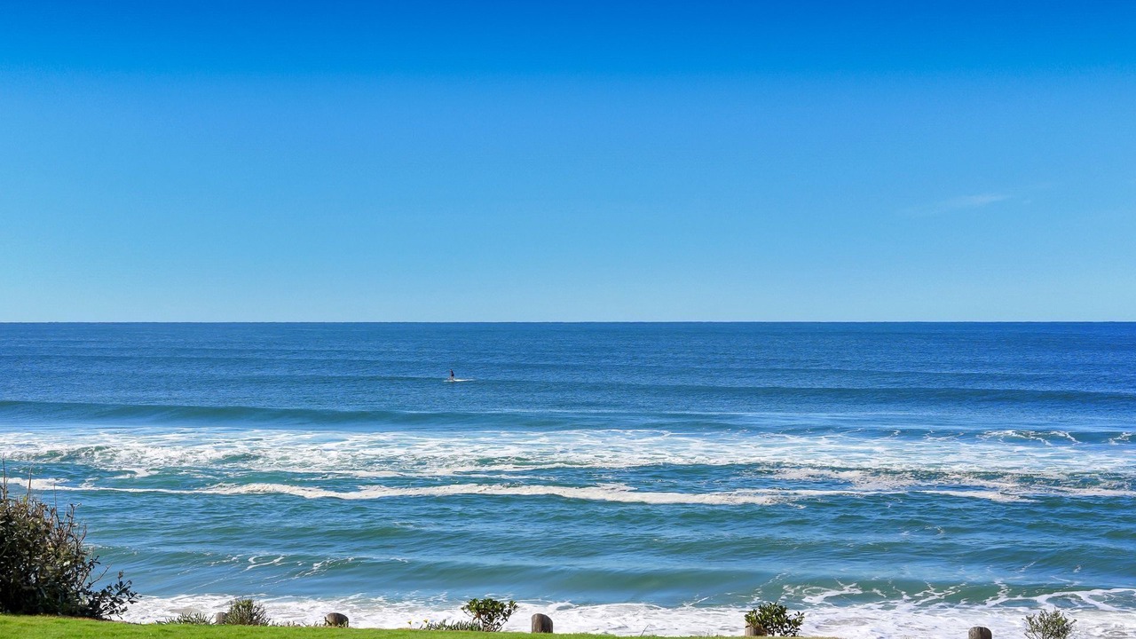 Photo of Others in Wamberal