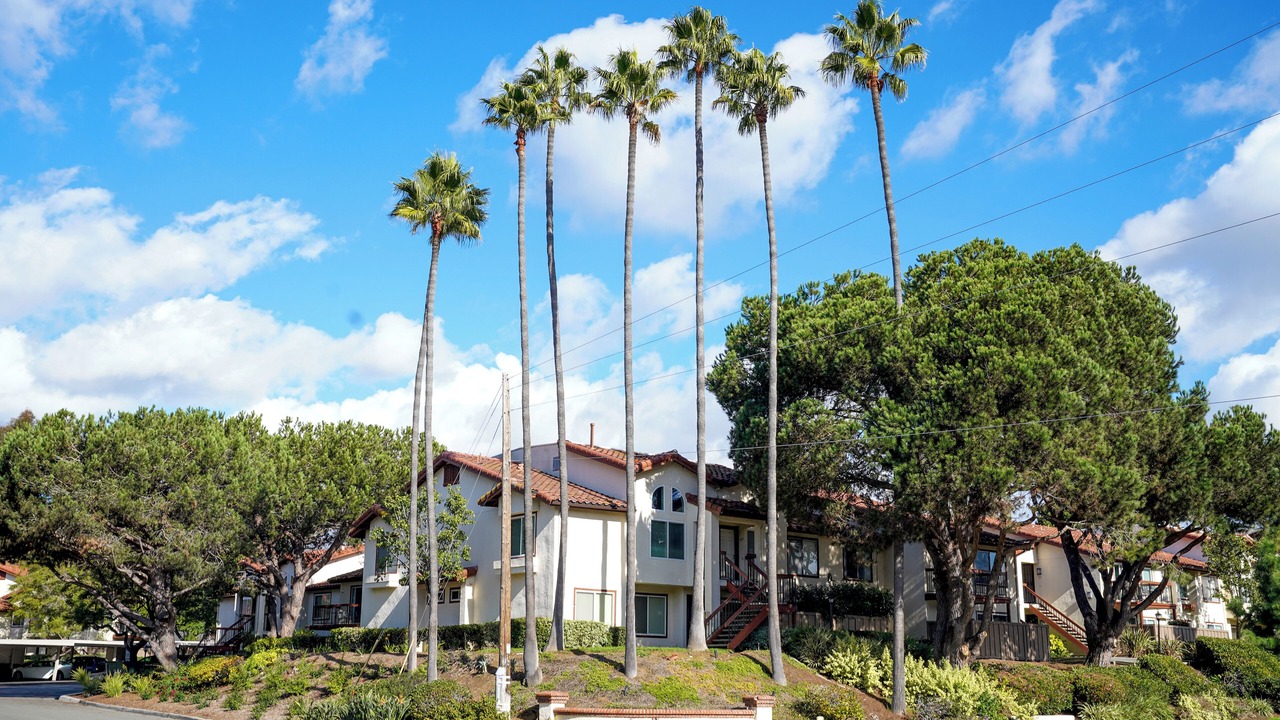 Photo of Outdoor in University City
