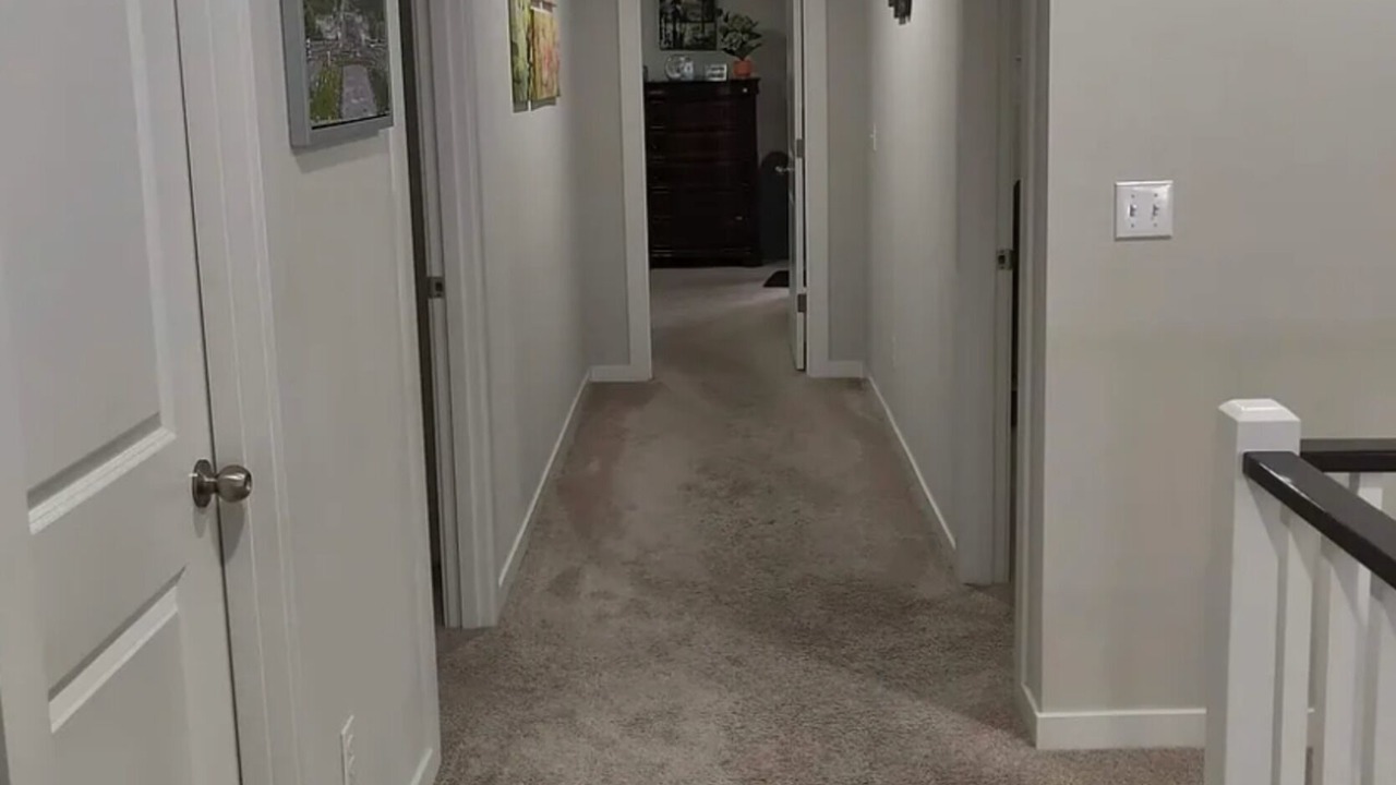 Photo of Others in North Creek