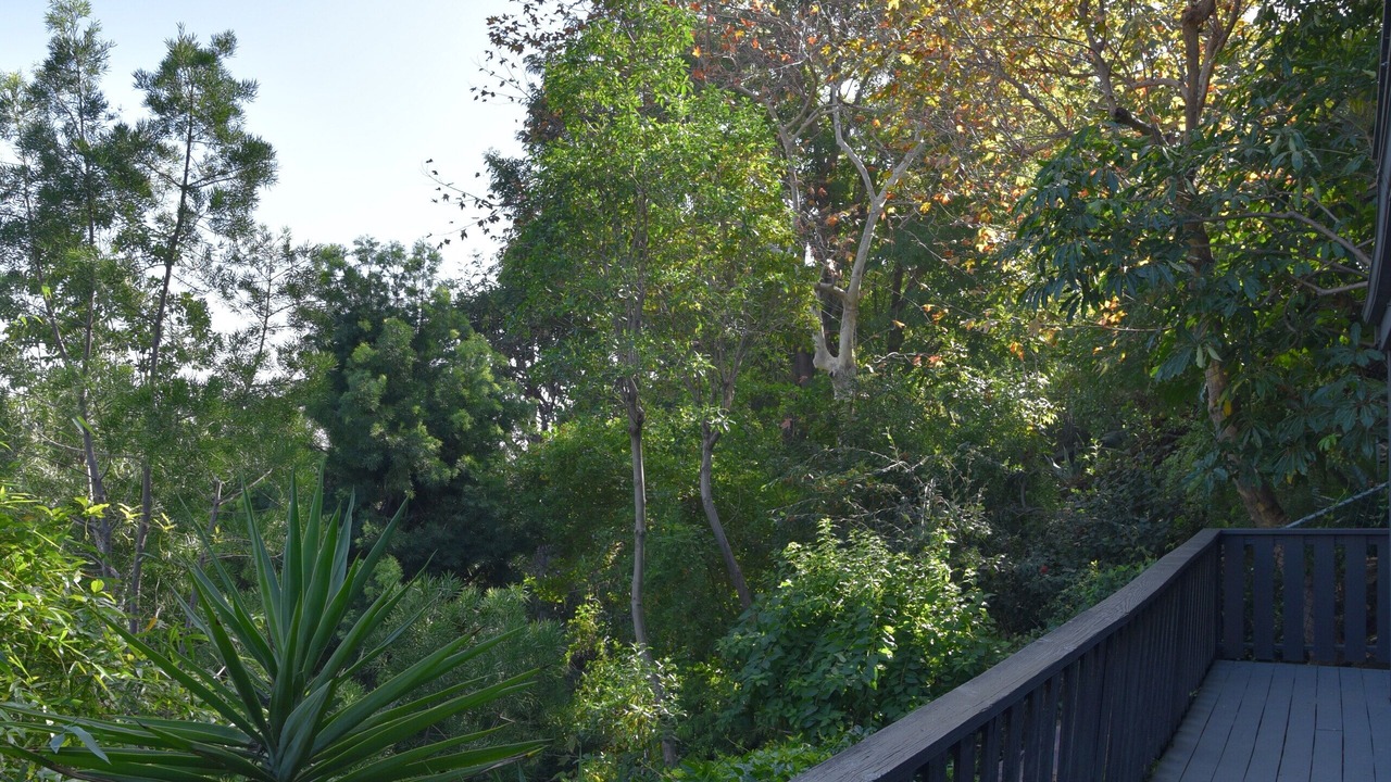 Photo of Patio Balcony in Hollywood Hills