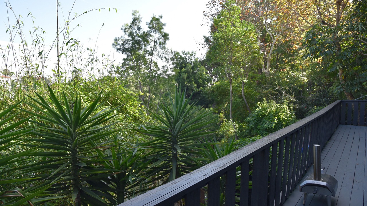 Photo of Outdoor in Hollywood Hills