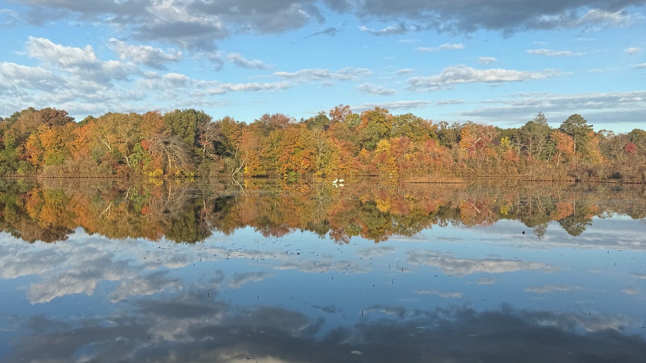 Photo of Others in Franklinville