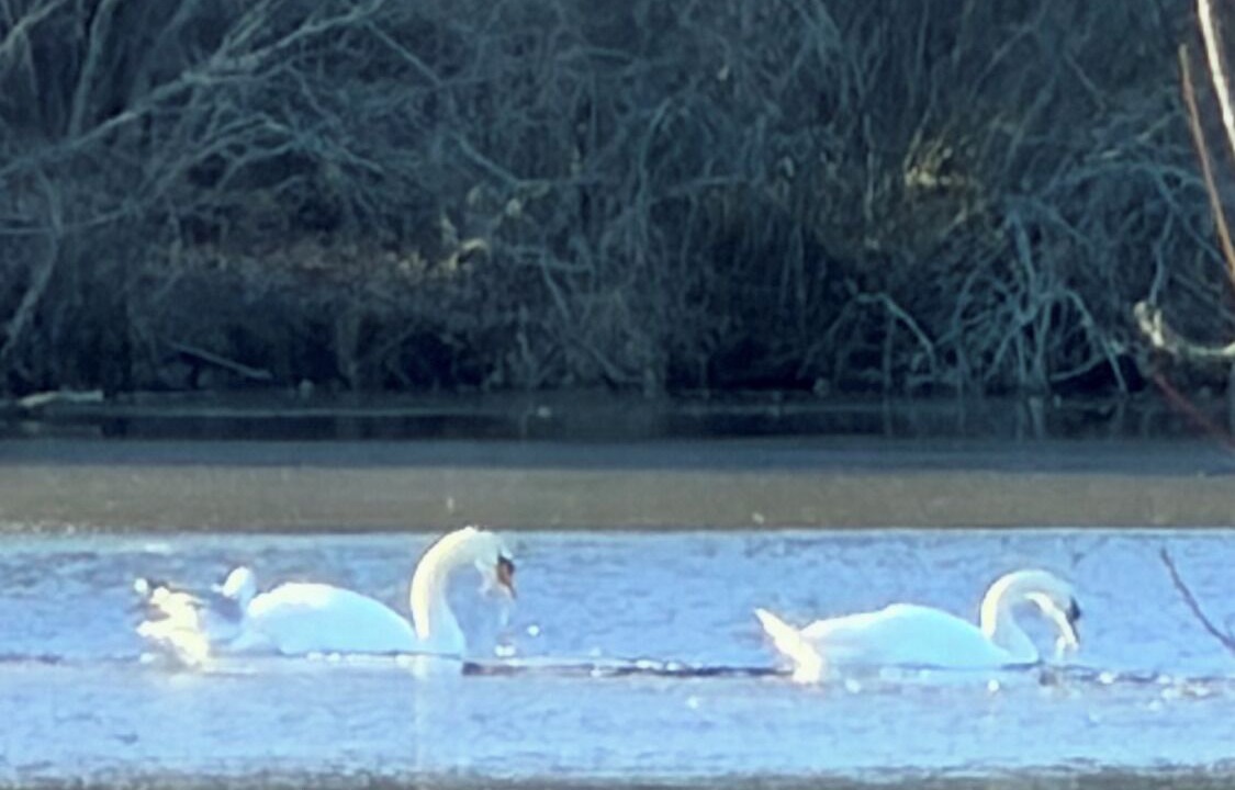 Photo of Others in Franklinville