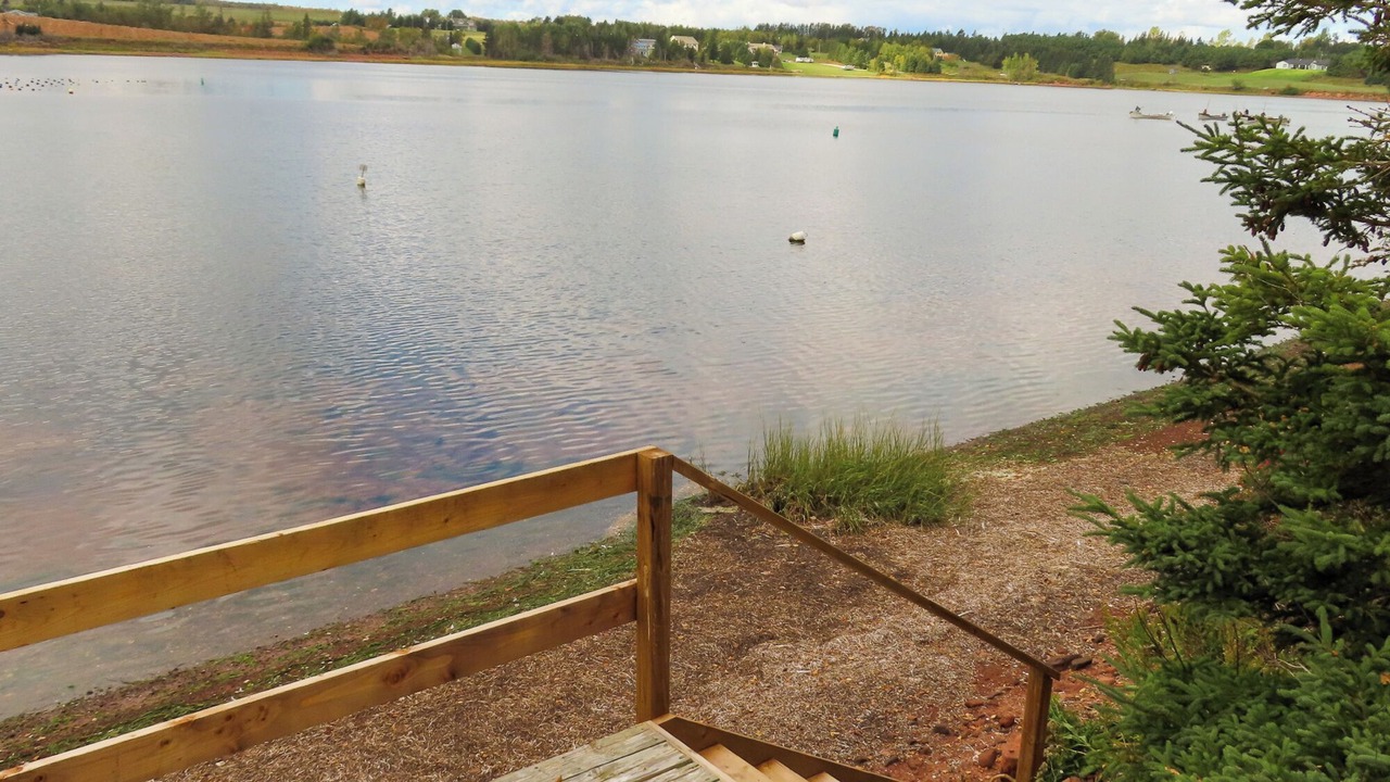 Photo of Outdoor in Stanley Bridge