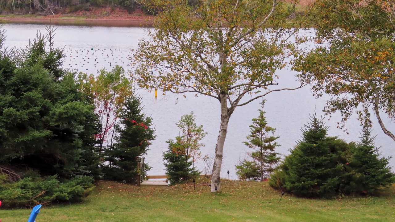 Photo of Outdoor in Stanley Bridge